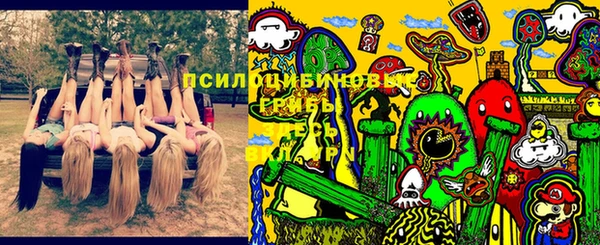 дурь Коряжма