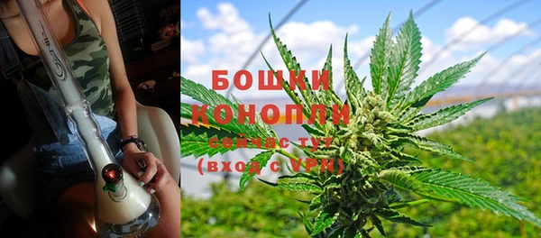 дурь Коряжма