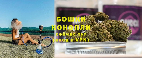 ECSTASY Костерёво