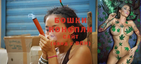 дурь Коряжма