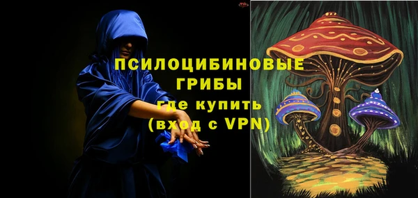ECSTASY Костерёво