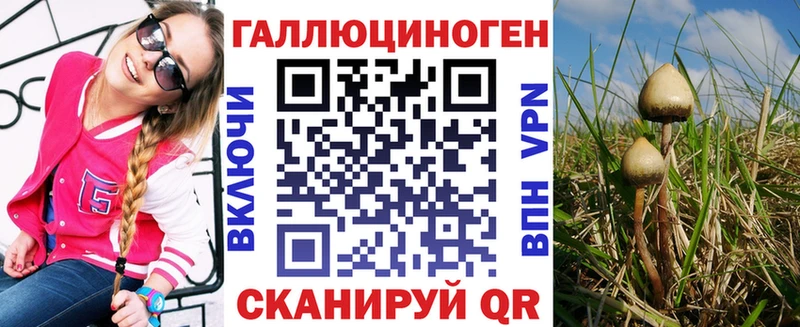 Псилоцибиновые грибы Psilocybine cubensis  Купить где  Клин 